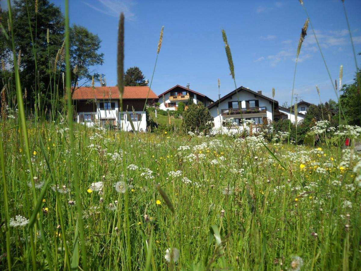 Im- Oberland - Berg - Koenigscard Apartamento Bad Kohlgrub Exterior foto