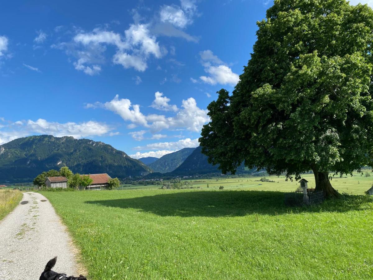 Im- Oberland - Berg - Koenigscard Apartamento Bad Kohlgrub Exterior foto